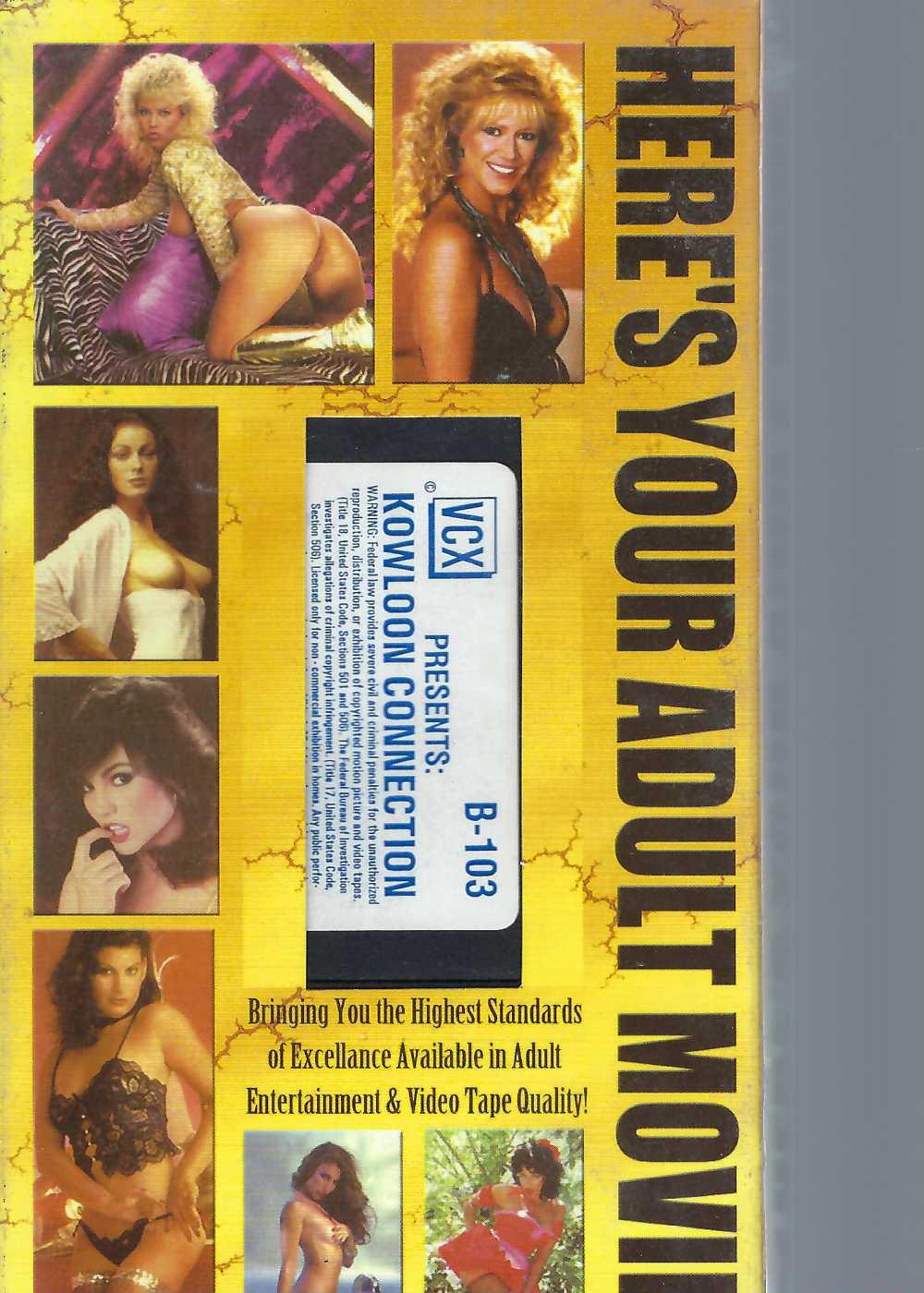 (image for) Kowloon Connection (2005)